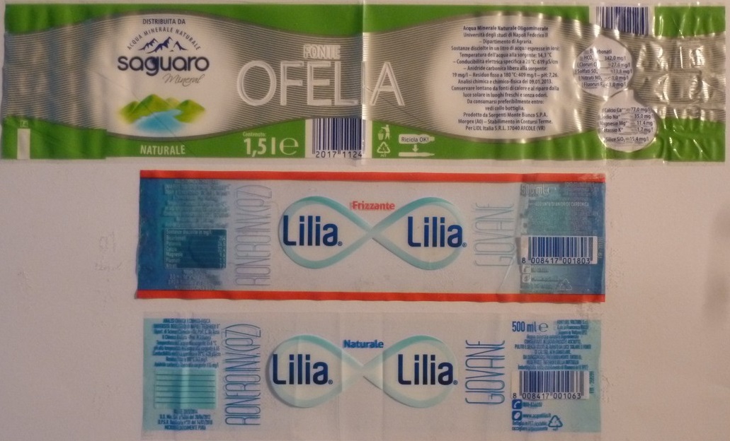 Italy - Ofelia saguaro + Lilia 2x